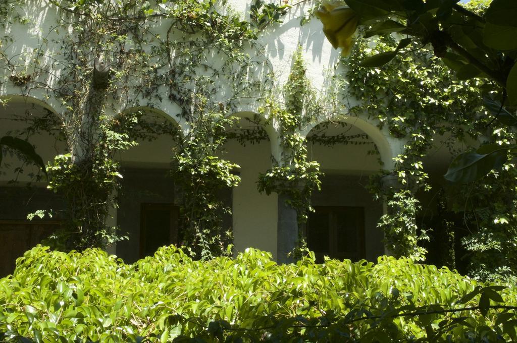 Hotel Casa Mision De San Miguel San Miguel de Allende Esterno foto
